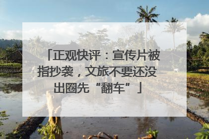 正观快评：宣传片被指抄袭，文旅不要还没出圈先“翻车”